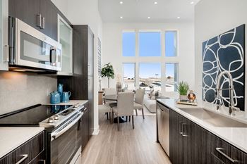 Contemporary, european style kitchen cabinets
